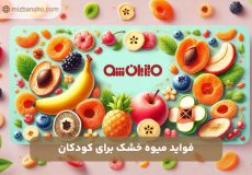 فواید میوه خشک برای کودکان
